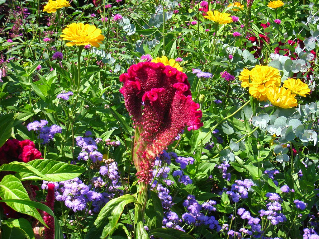 Botanical Gardens 2010 0440.jpg - The Chicago Botanic Gardens. Wear comfortable shoes, and be prepared to enjoy the landscape for a day.